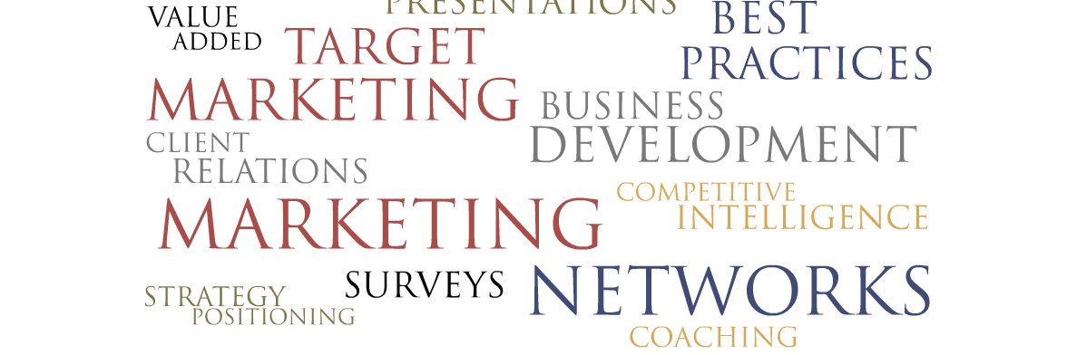 Sally Schmidt banner