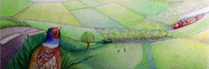 lisa chapman; @commonsenseslt.bsky.social banner