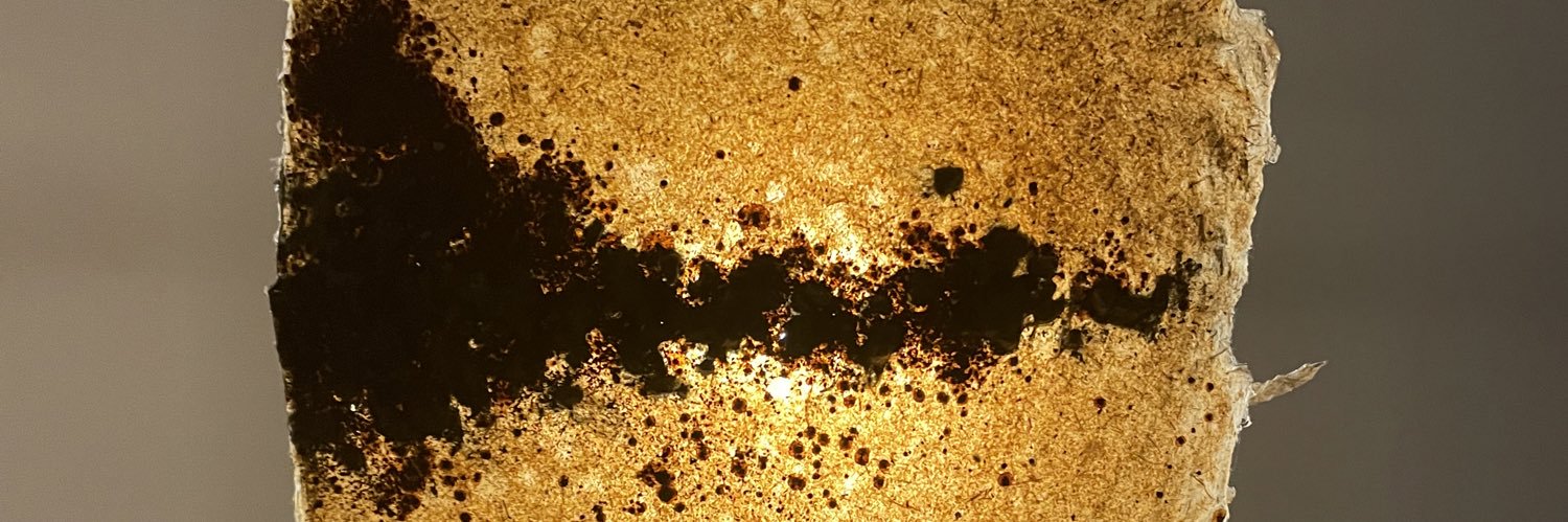 @meghna.bsky.social banner