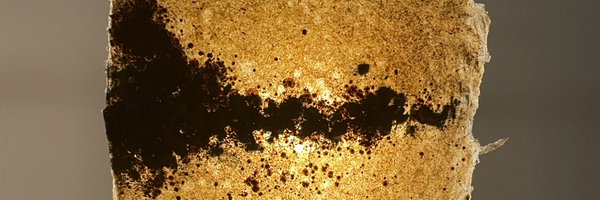 betterthemask Profile Banner