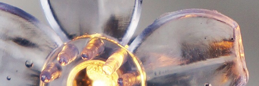 ﮼محمدالحبسي banner