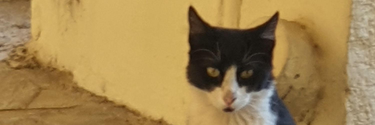 PanosLi's profile banner image