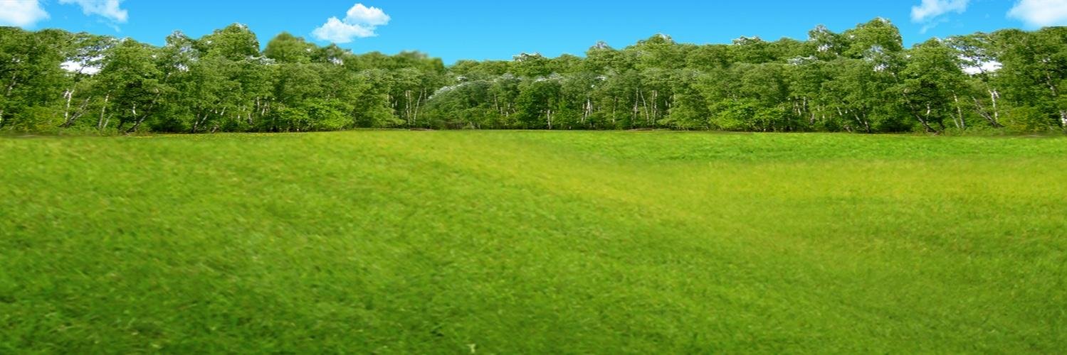 Саша Скарс banner