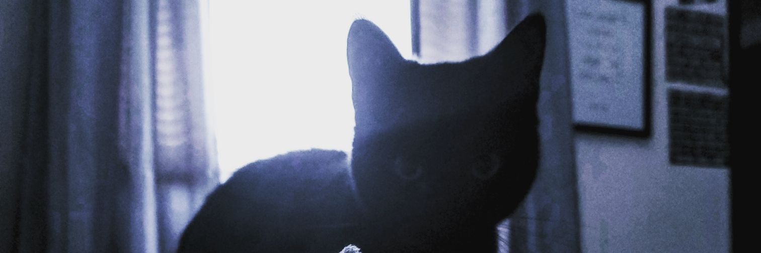 jemmacidal's profile banner image