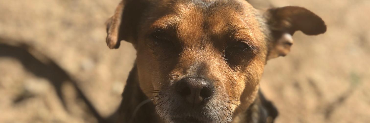tfie's profile banner image