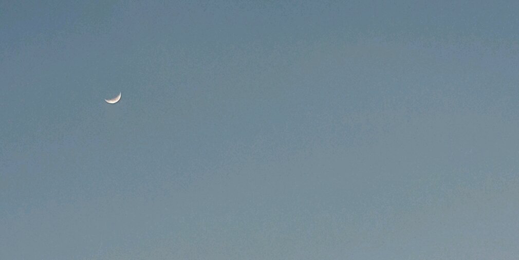 MNCS17's profile banner image