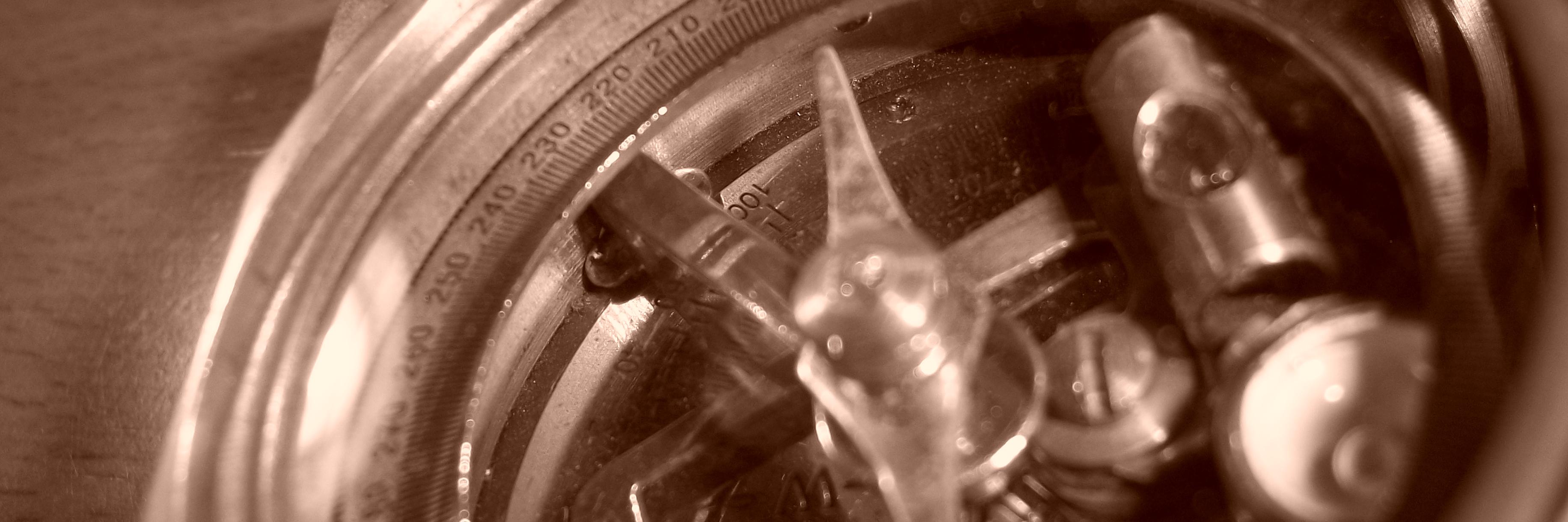 TamaraClementeC's profile banner image