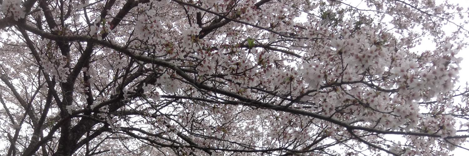screamingsounds's profile banner image