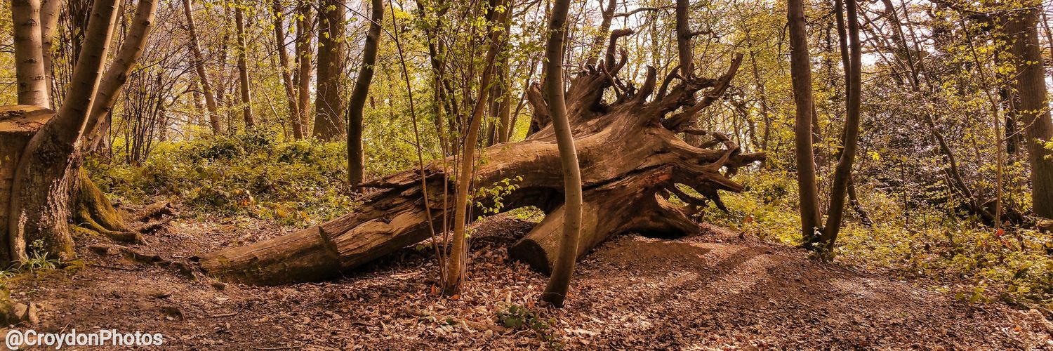 CroydonPhotos's profile banner image