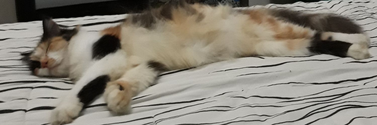 darssski's profile banner image