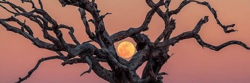 Riverchock's profile banner image