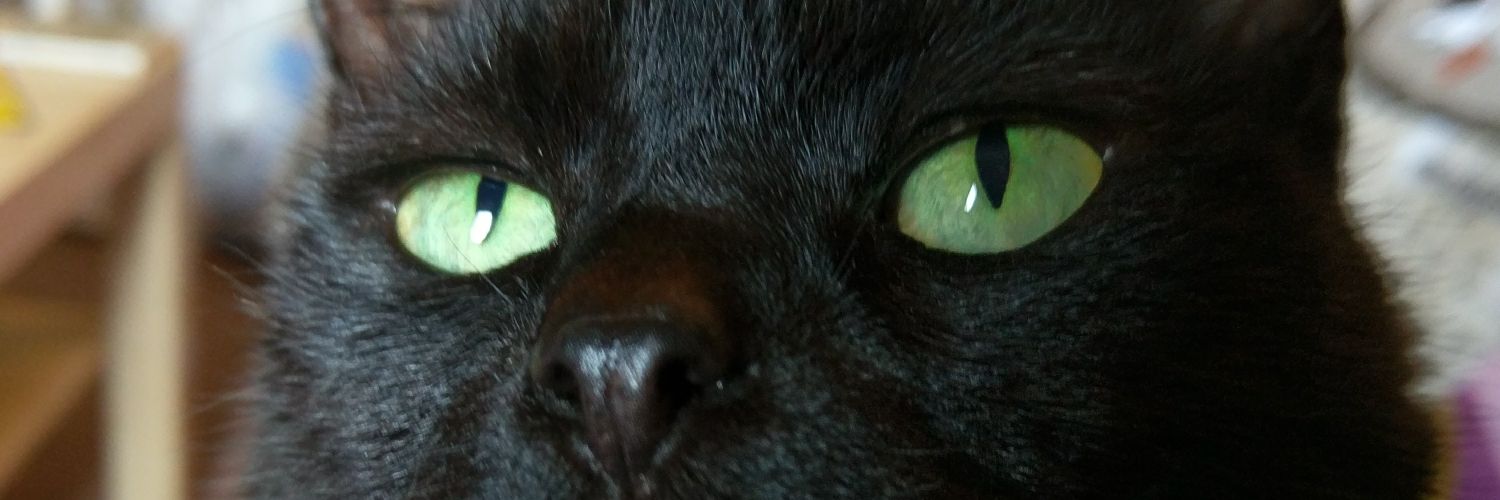 sabremo's profile banner image