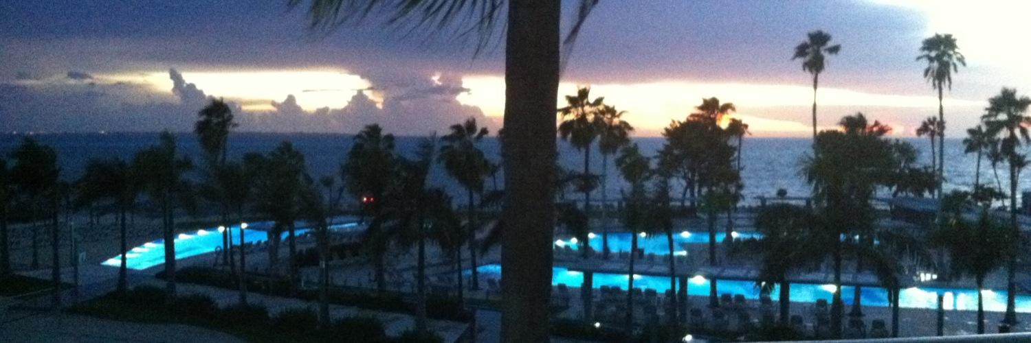 Dalton Chenko banner