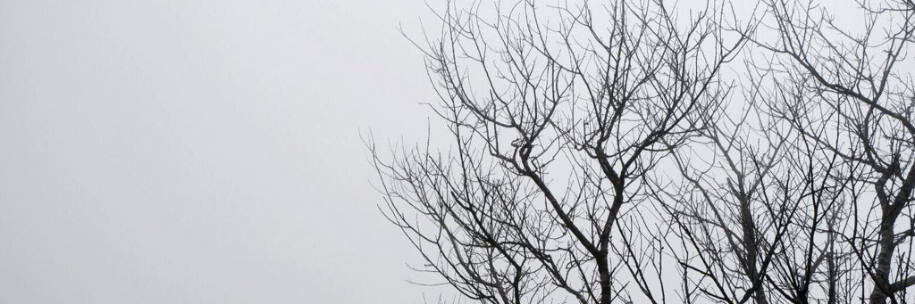 nouker_onew's profile banner image
