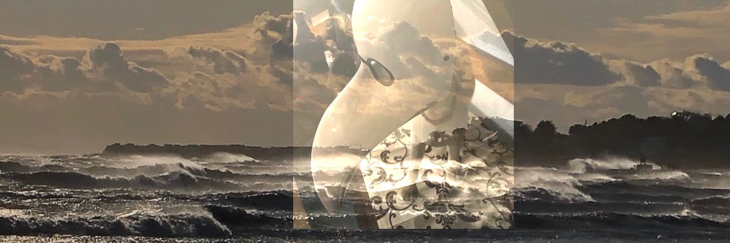 Tina de Toetterbeck9jabs🎗️ banner