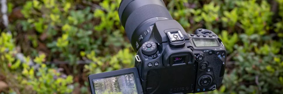 bishop_lens's profile banner image