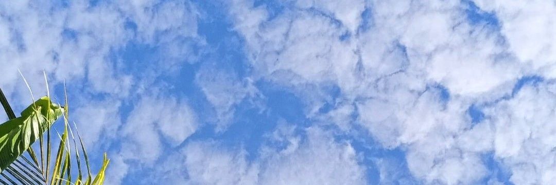 4kma_'s profile banner image