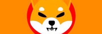 WhaleScanl8's profile banner image
