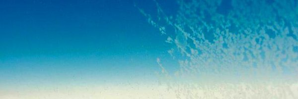 netdynamic Profile Banner