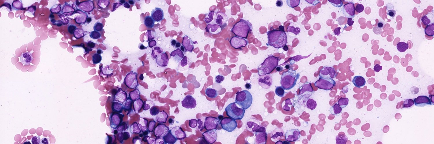 Dimitrios Tsallos banner