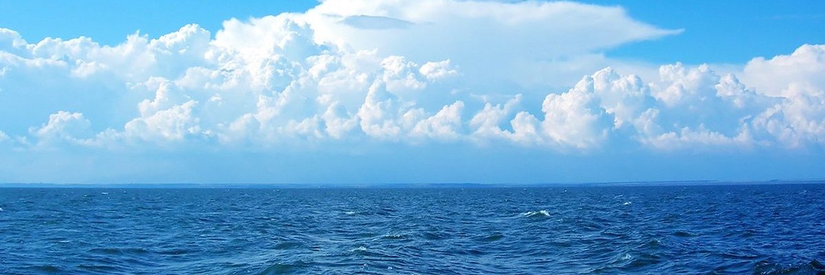 رامي فارس banner