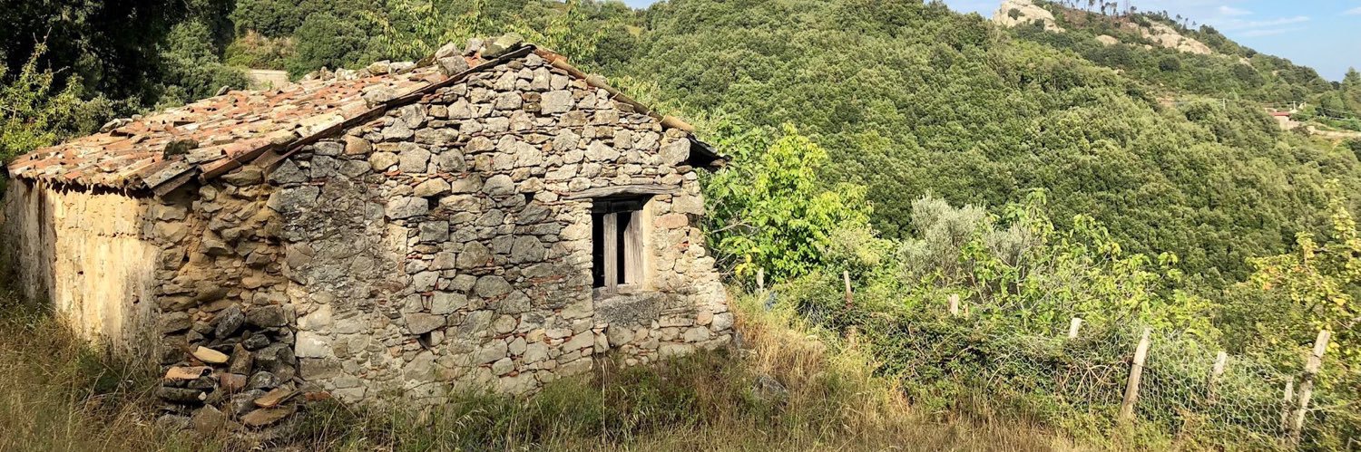 Mario Prosperino banner