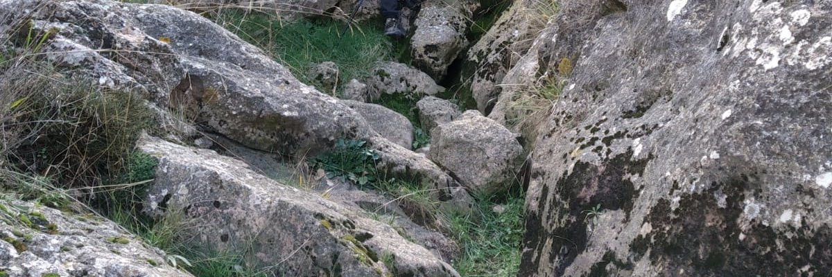 myagueleon's profile banner image