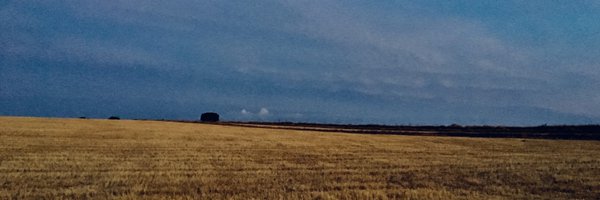 jperezrey Profile Banner