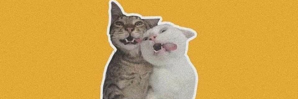 BACONBBOY's profile banner image