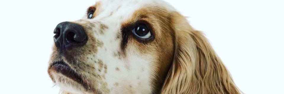 Bec_9's profile banner image