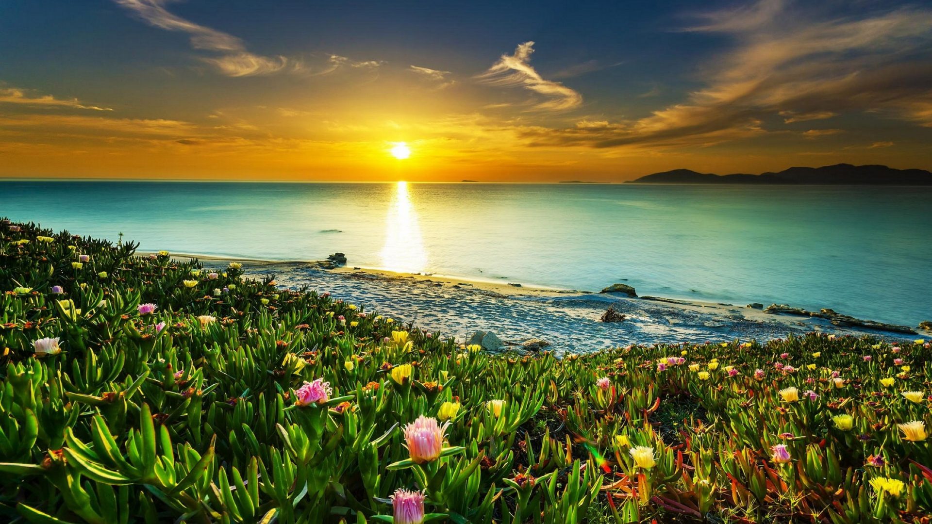 cosm_nature's profile banner image