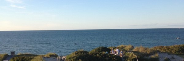 SeanKay9 Profile Banner