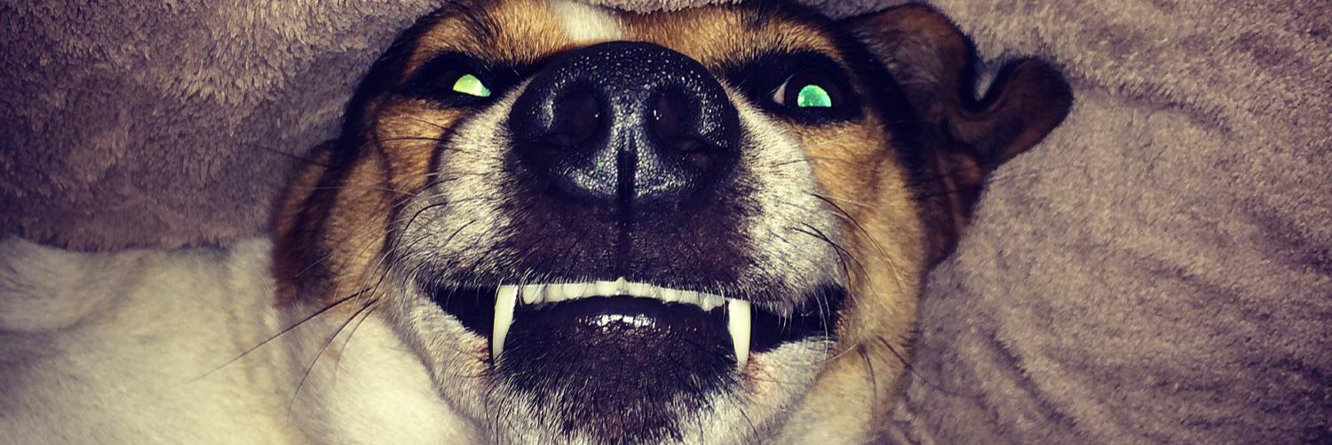 ItsDavieGee's profile banner image