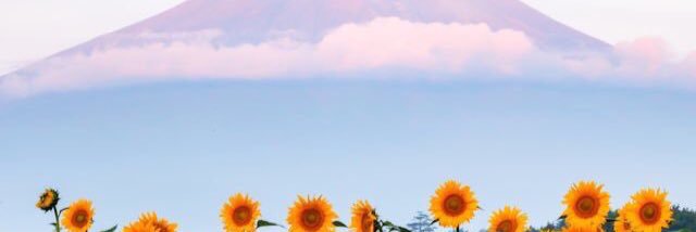 K_meth's profile banner image