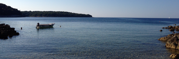 vtarczay Profile Banner