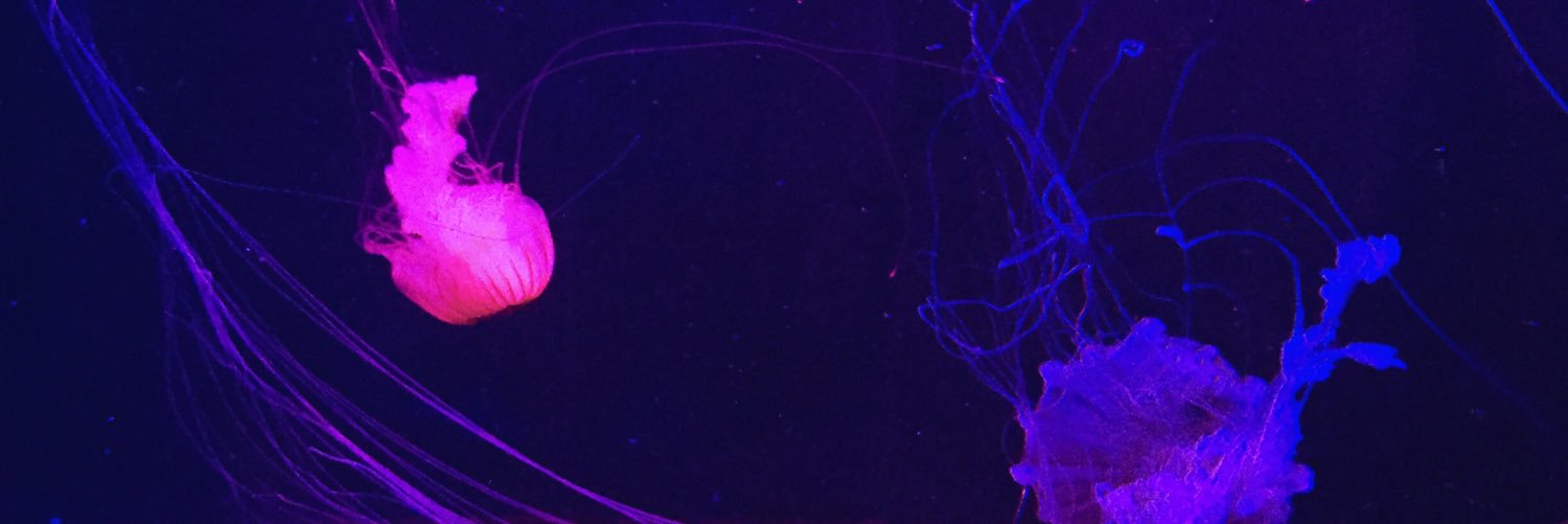 regiiinaaa_'s profile banner image