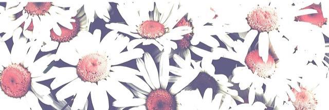 KayleighThomas6's profile banner image