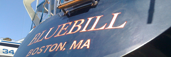 NewsShark Profile Banner