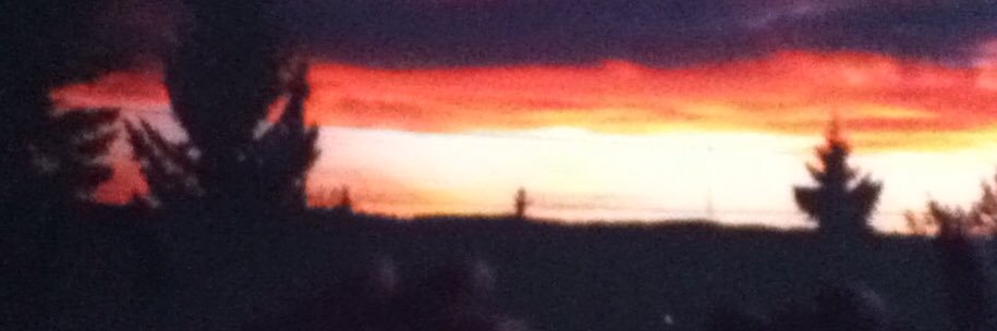 Suzanne Gagnon banner