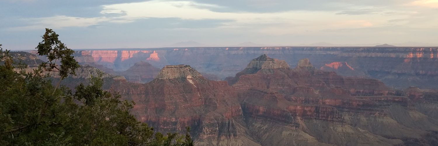 🇺🇸 Snakebit 🇺🇸💯💙🇺🇦🇸🇪🇨🇦 banner