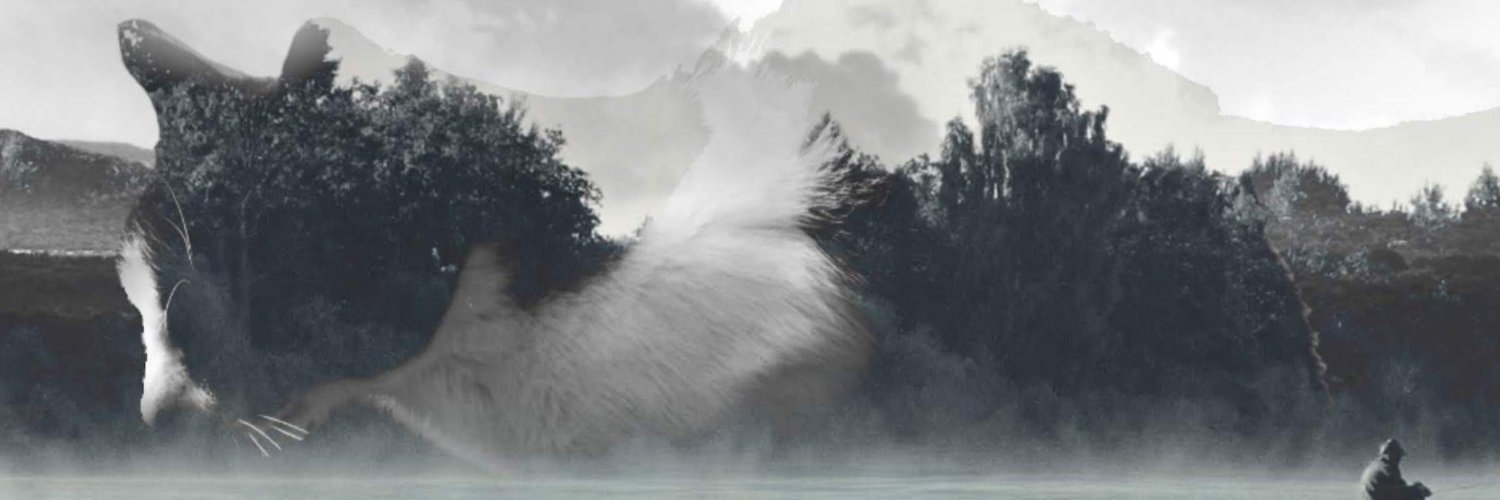 crisdan16's profile banner image