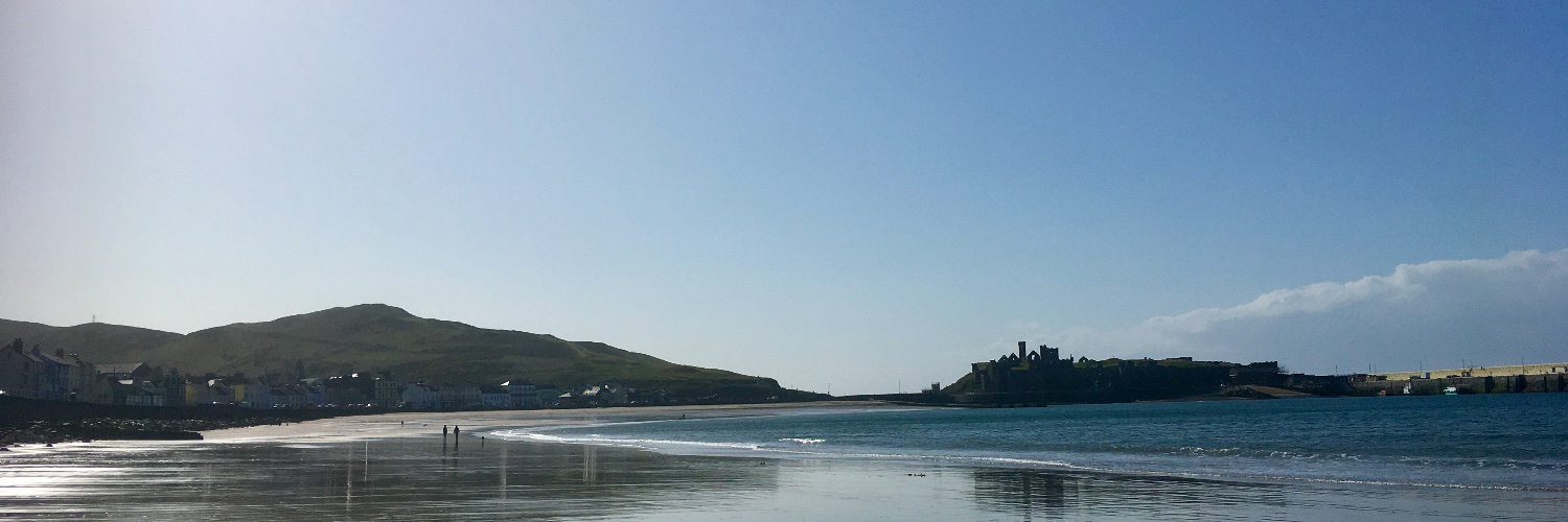 Christine Collister banner