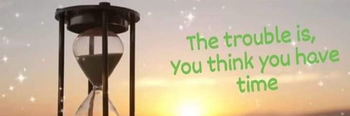 Vikingsalways's profile banner image
