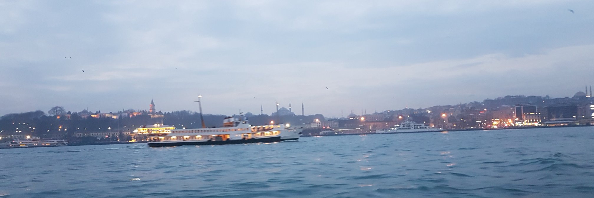 doganayse11's profile banner image