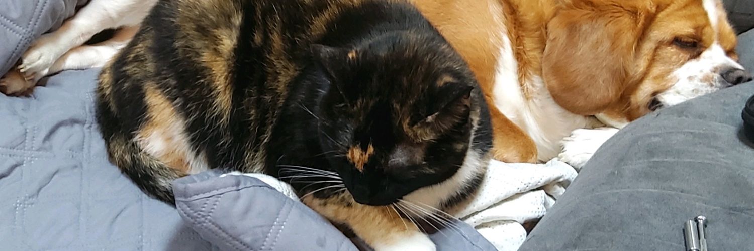 Lunabibi's profile banner image
