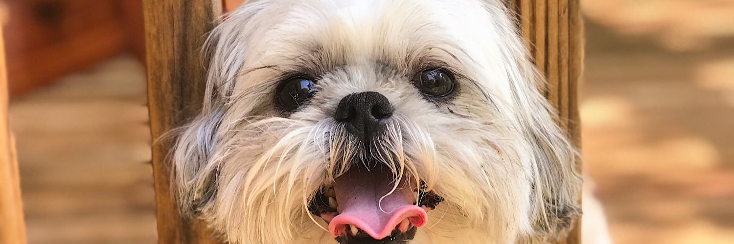 cassieraelyn's profile banner image