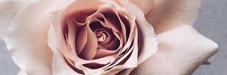 Babie_iphie's profile banner image