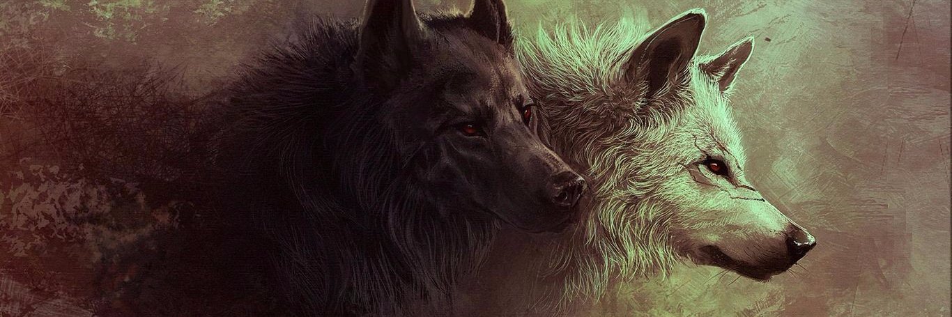 caannadsz's profile banner image