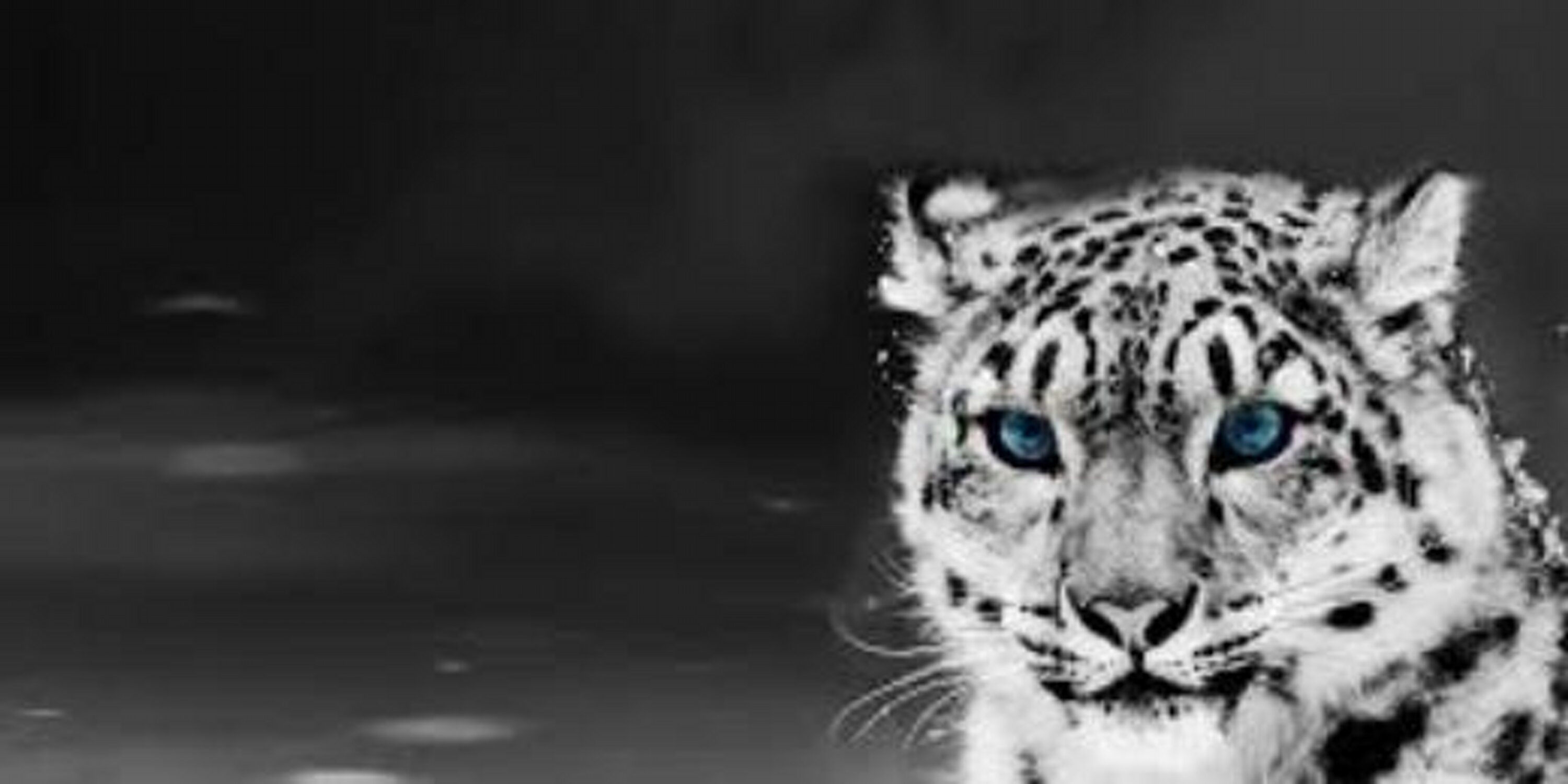 KyraEllis7's profile banner image