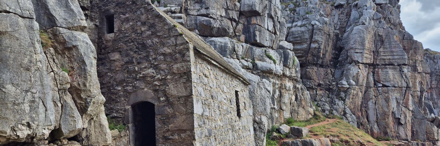 Stephen 🦉OvO🦉 banner